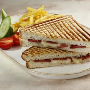 Karışık tost