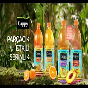 Meyve Suyu ( Parçacıklı )