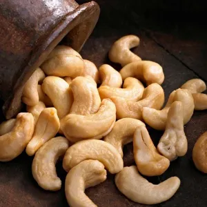 Tadım kaju