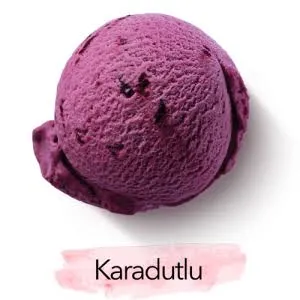 Karadut