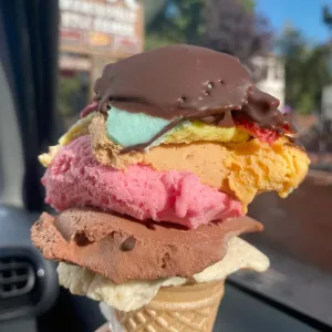 Dondurma çeşitleri (1 top )
