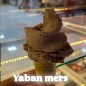 Yaban mersini