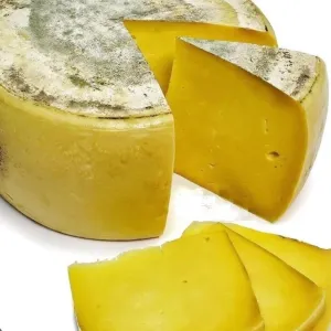 KAŞAR