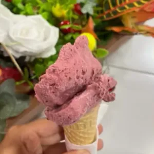 Karadut